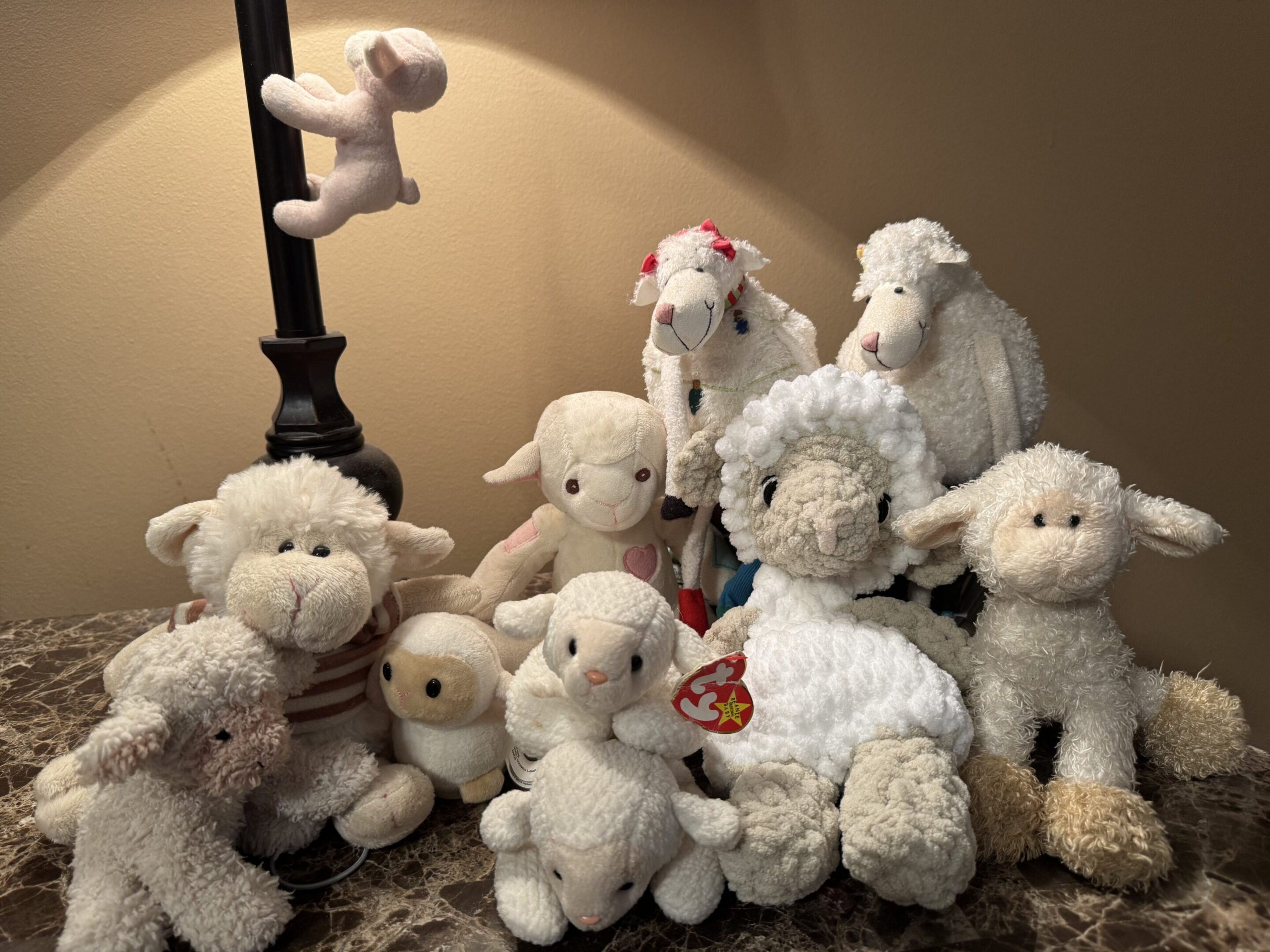 lambs 3